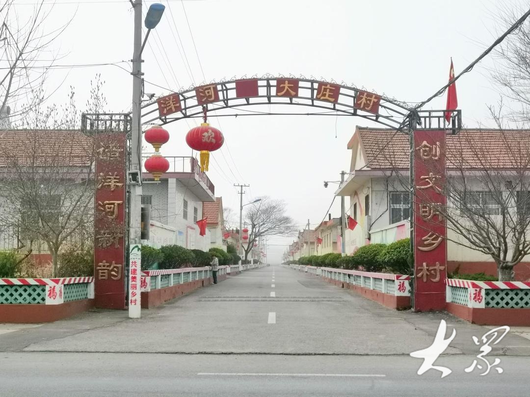 初夏时节,走进胶州市洋河镇大庄村,宽敞,平整的柏油路从村口伸向每个