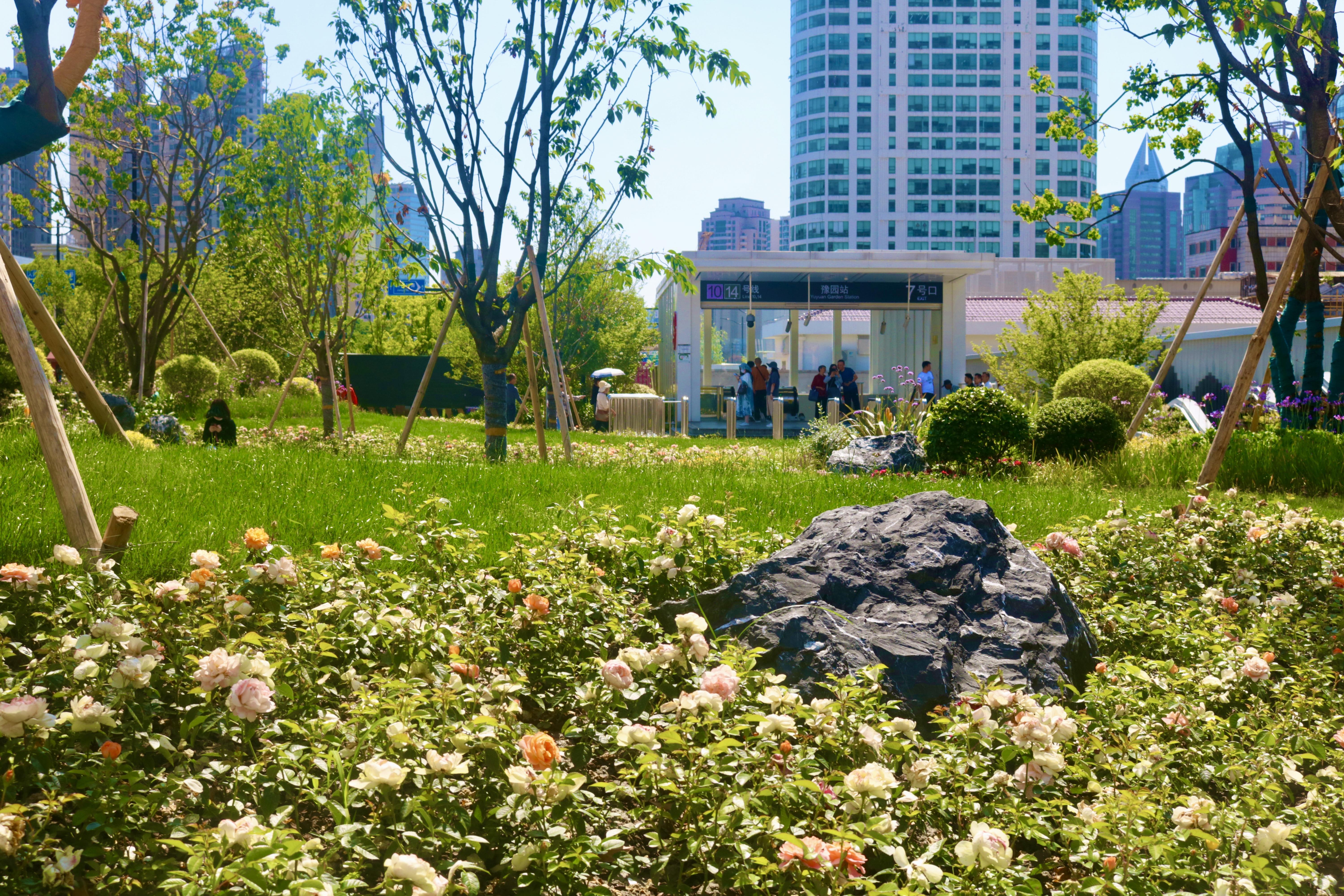 在如诗如画的"窠石园","豫"见美好!