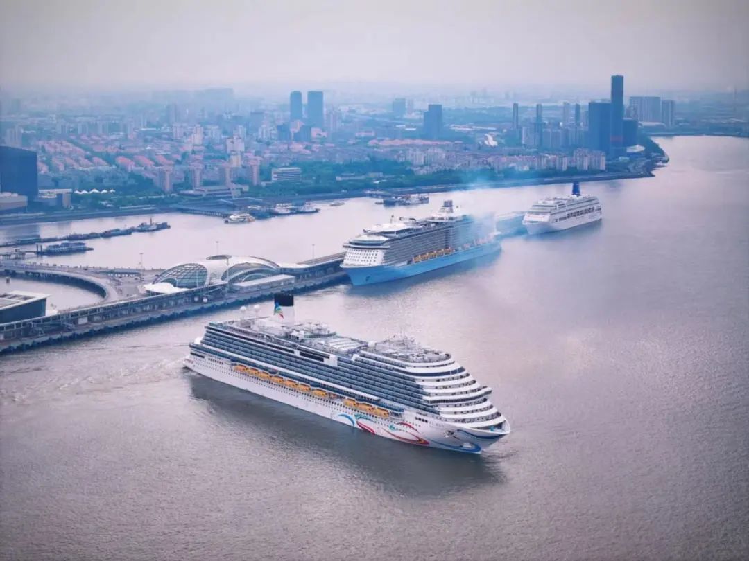 这一年"邮我守护",他们用奋斗再现邮轮母港辉煌