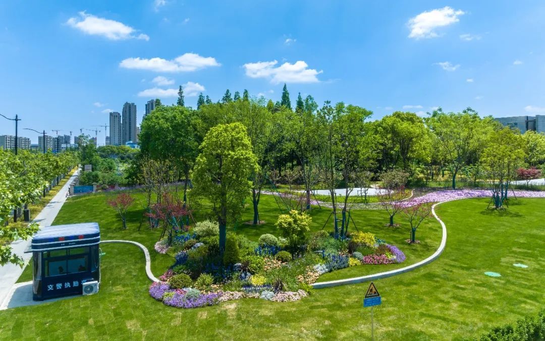 嘉定区建成一条水韵彩化带