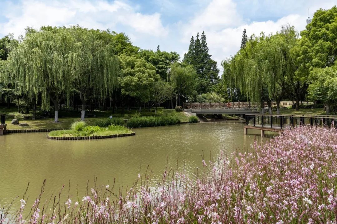 光头上海植物园 @马伟勤半马苏河公园 @长春苏州河蝴蝶湾 @金忠