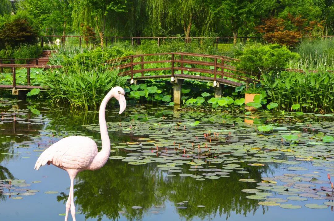 超适合初夏!郊野公园有新玩法
