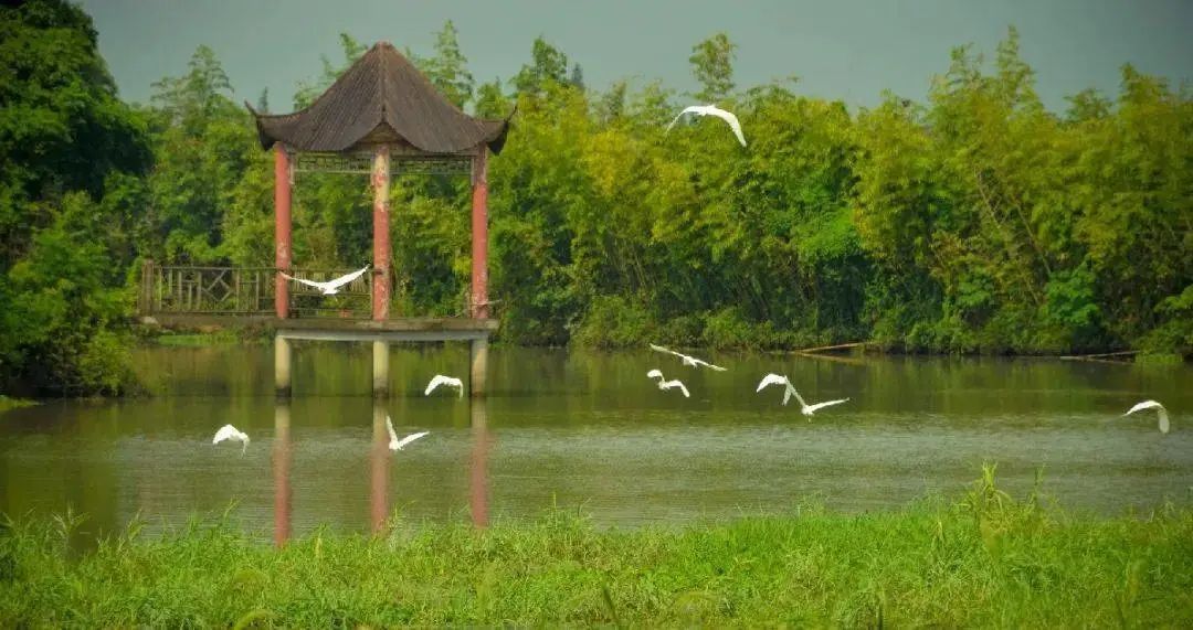 超适合初夏!郊野公园有新玩法
