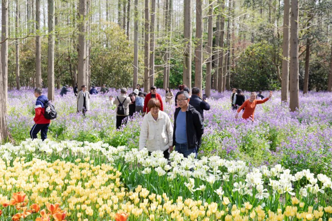 丰富多元的游玩体验,唤醒味蕾的绝佳美食,这就是东平国家森林公园的