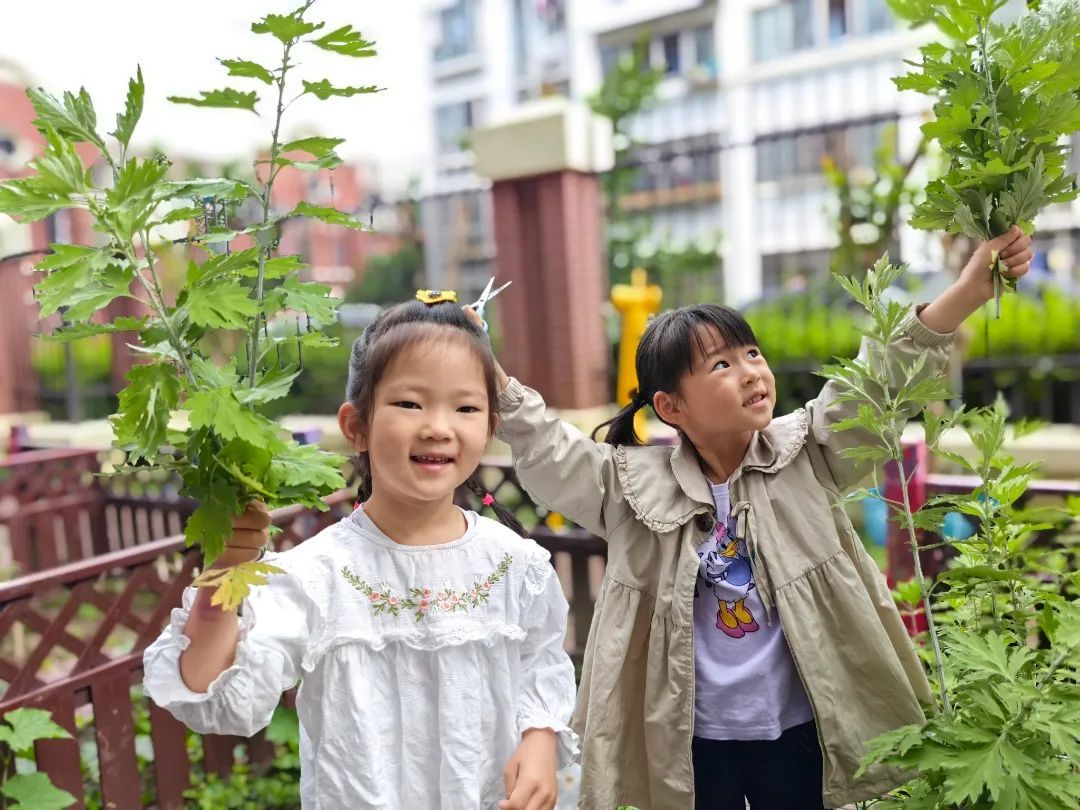 扬州友谊幼儿园图片