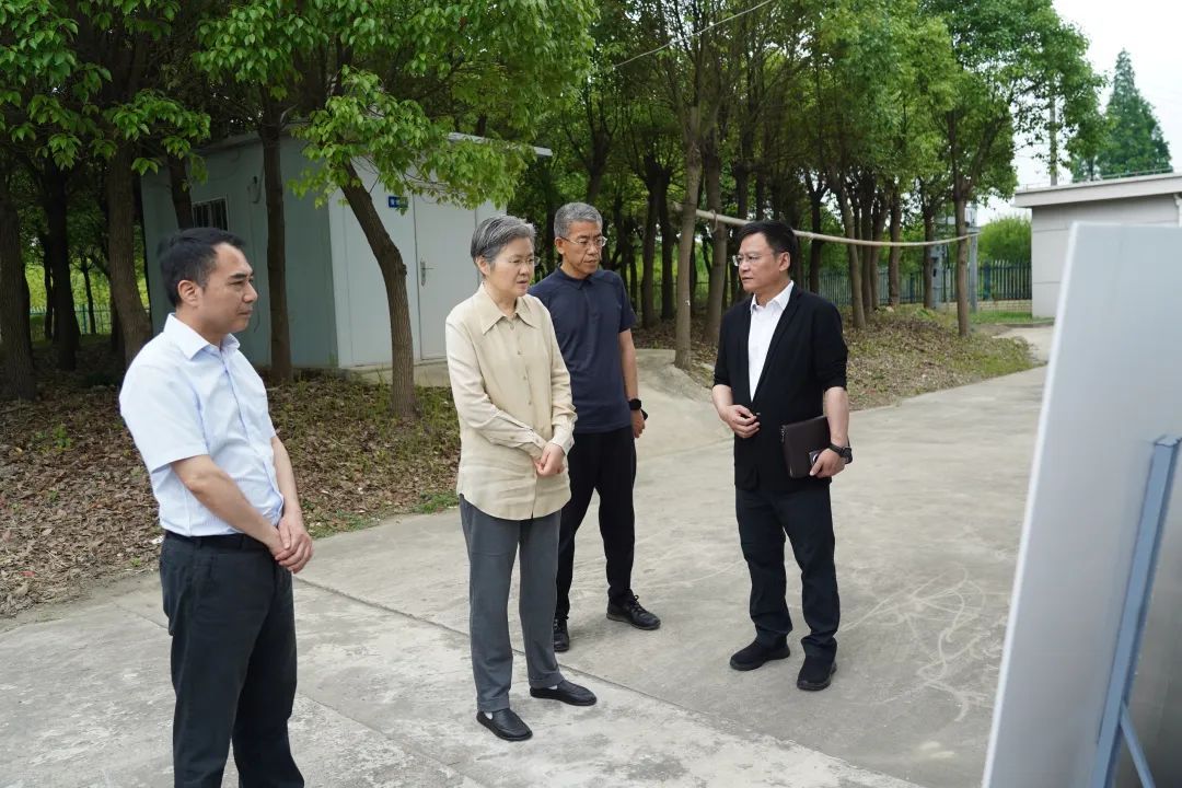 高香来到位于菊园新区的六里圩区,察看