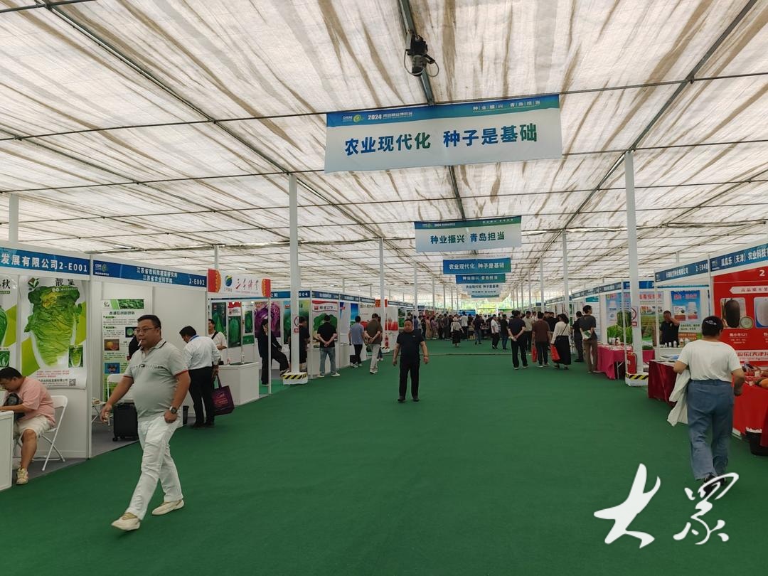 2024青岛首届种业博览会在青岛西海岸新区举办