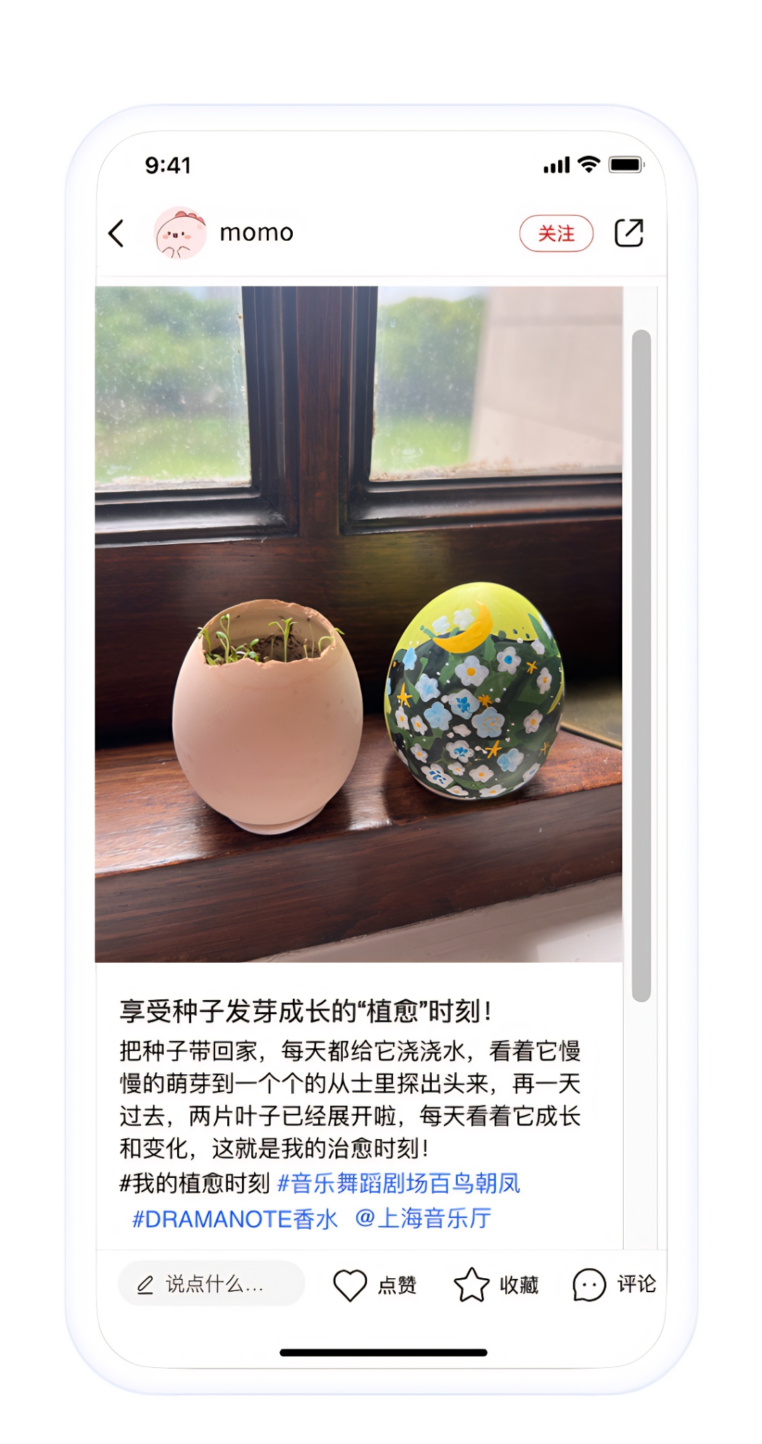 悄悄告诉你,百年音乐厅搭起巢穴,想给你最温暖的拥抱(文末双重惊喜)