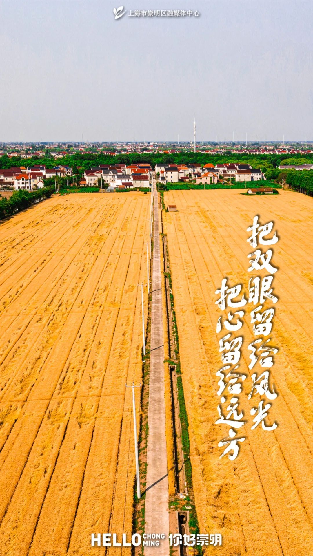 崇明好物亮相上海老博会,参观方式戳