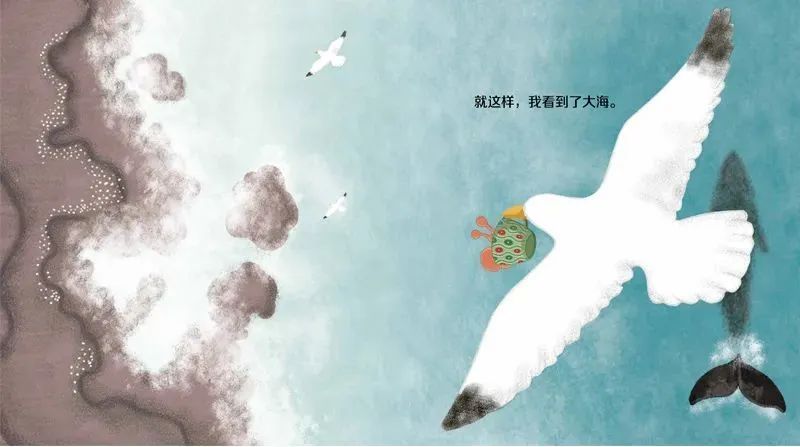 "第一次遇见数学"绘本 内页图作者简介:曲蛐,在中国台湾的眷村长大