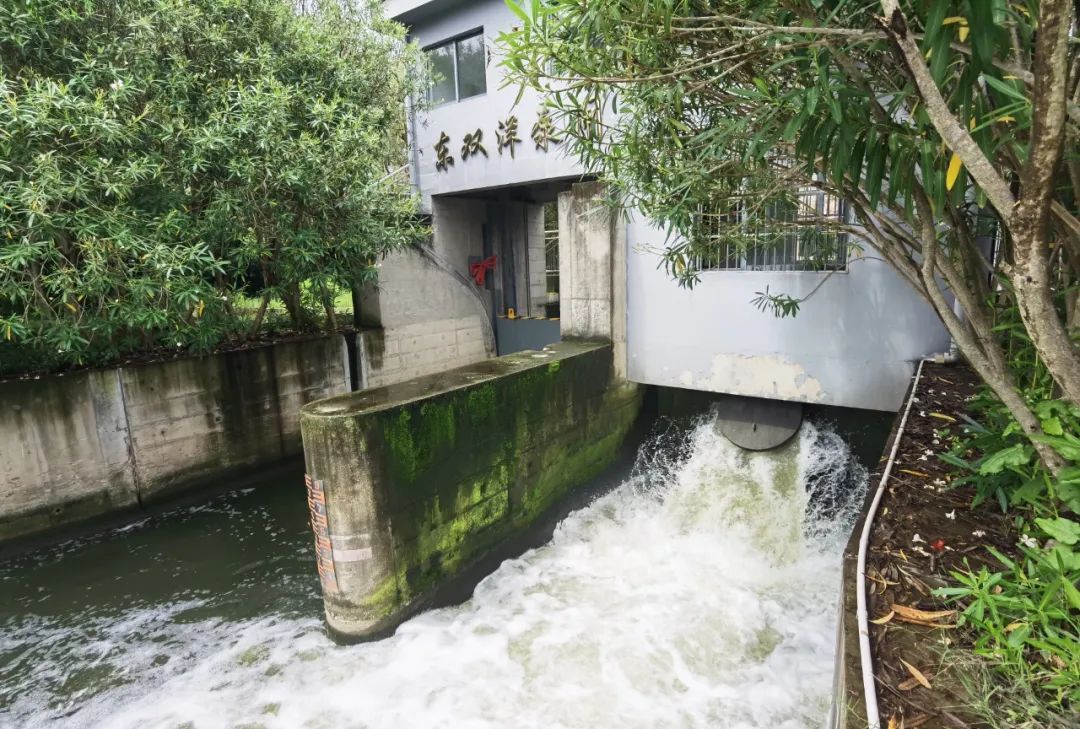 内涝 应对强降水，各级泵闸联动处置控水位防内涝_上观新闻