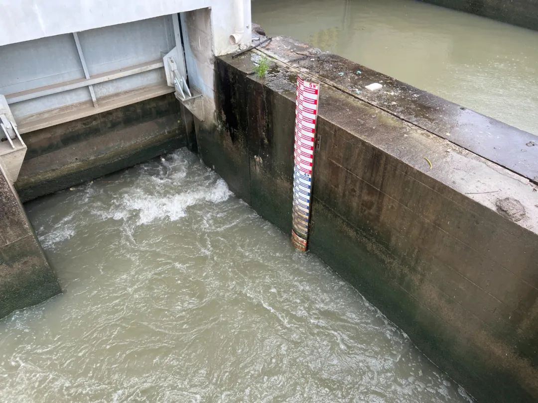 5. 消防控制室值班操作人员持证上岗数量不足