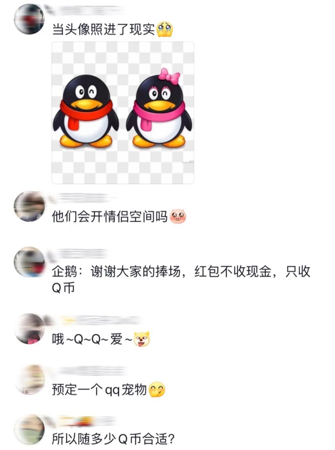 海洋馆为企鹅办“婚礼”！“证婚人”是…网友：份子钱随多少Q币合适？_上观新闻