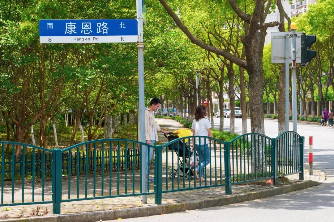 浦东康桥镇:持续推进农村公路提档升级,让居民出行更便捷