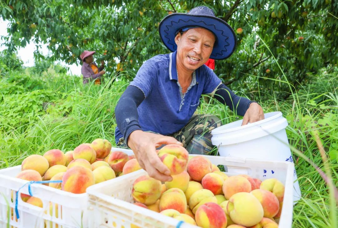 建宁夏季旅游线路推荐! 这份乐不思"暑"的游玩攻略,"趁热"收好