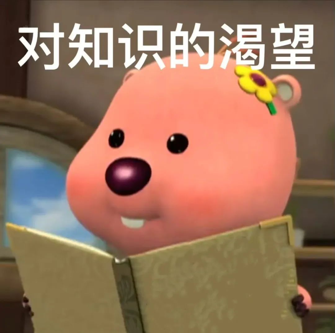 "知识以一种很新的方式进入了我的大脑!