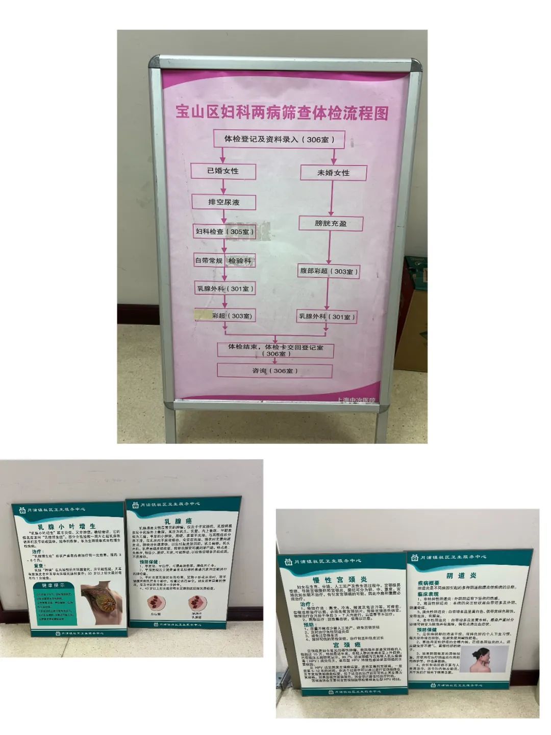 守护妇女健康!宝山这个镇"两病筛查"工作圆满完成