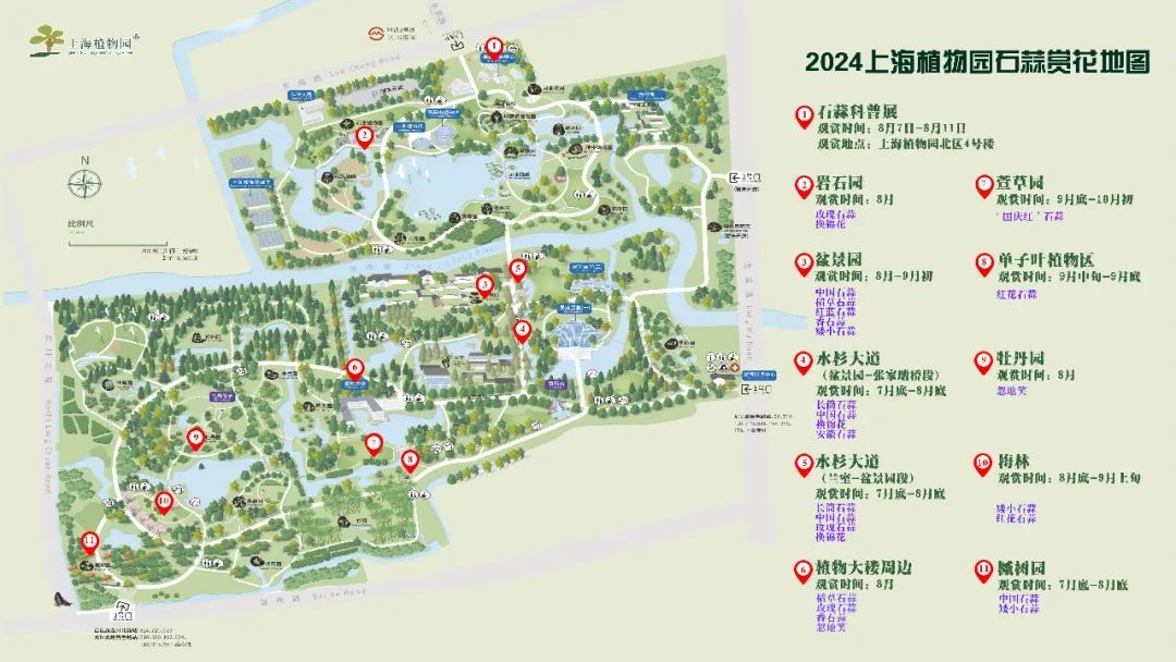 【活动】2024上海植物园石蒜赏花季明日拉开序幕