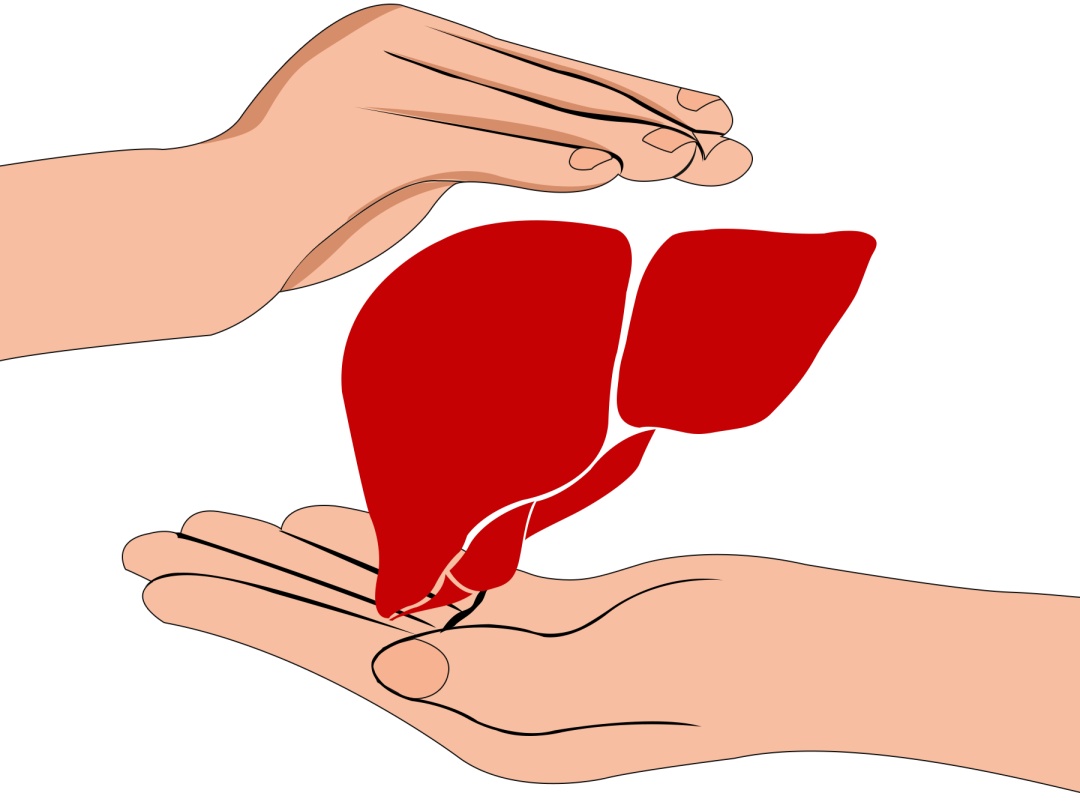 世界肝炎日:共同守护"小心肝"