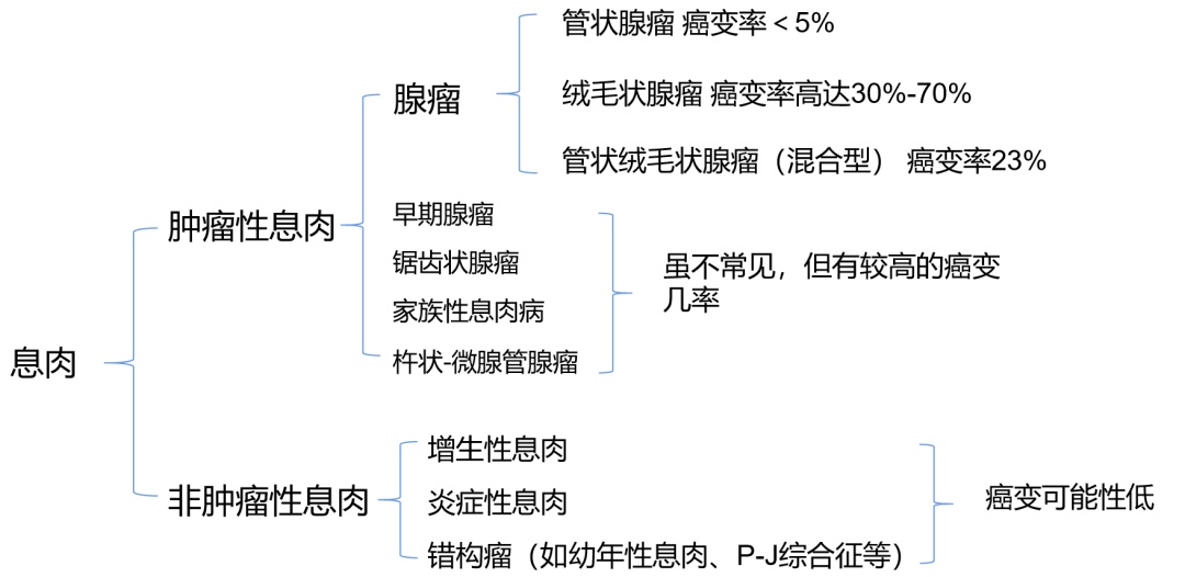 【科普先锋】肠息肉要治疗吗?