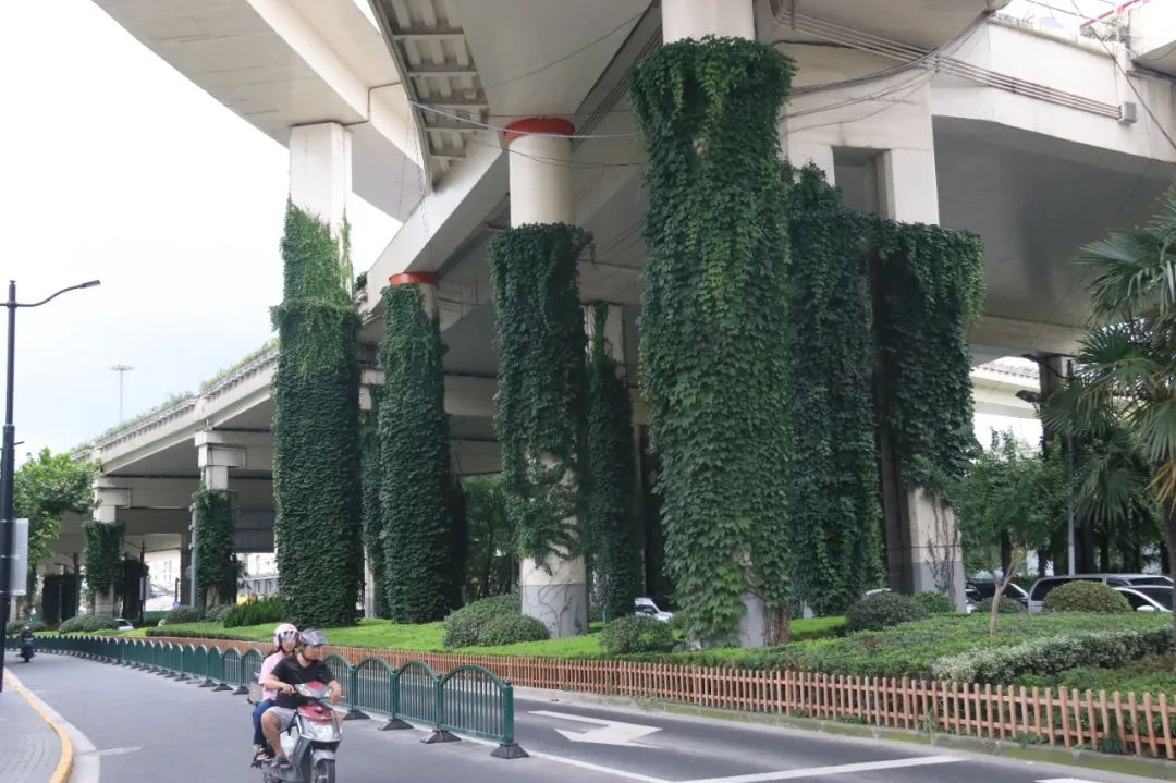 桥柱换新衣 ,一键开启"美颜"模式