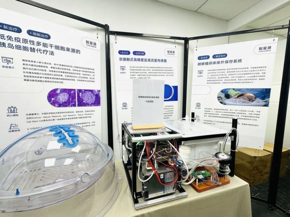 直击引领区丨高质量孵化器推动概念验证！浦东打通科技成果产品化“最初一公里”
