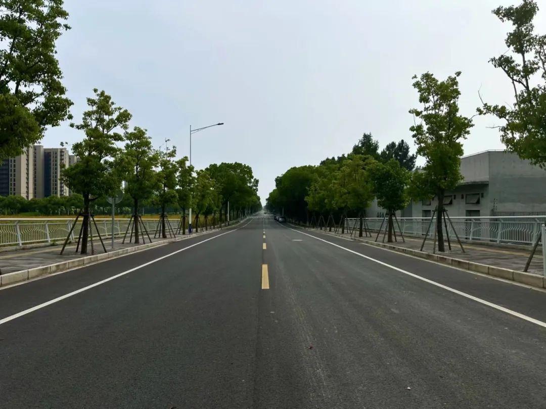 走,压马路去!中山这几条独具特色的道路,你都来过吗?