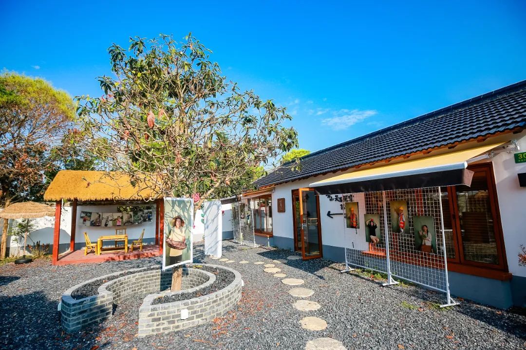 聚焦行业热点：广州龙凤网引领网络新风向