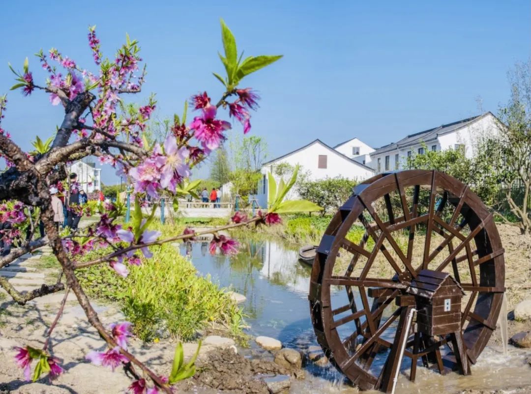 当乡村遇见休闲,在桃源里邂逅乡野慢生活