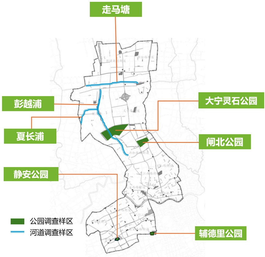 闸北公园地址图片