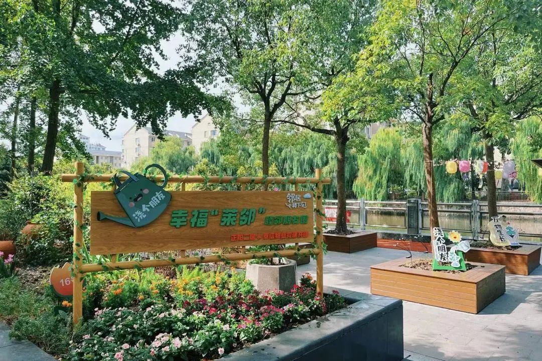 闲置空地变身议事“宝地”，这个“微改造”居民直呼“老灵光”！