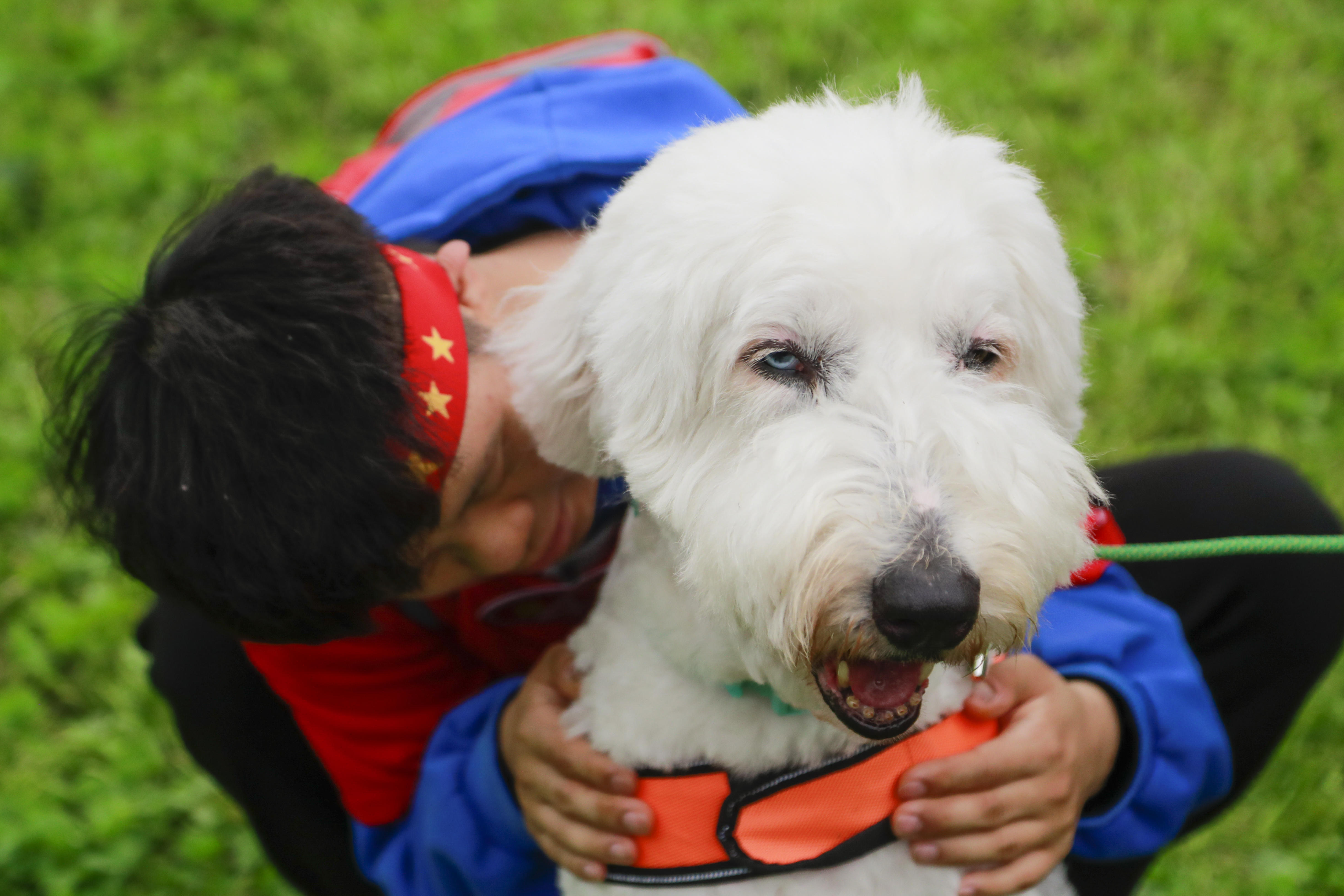 朱建华是宠物行为与训练专家，在近20年的犬训练行为研究中，训练犬只千