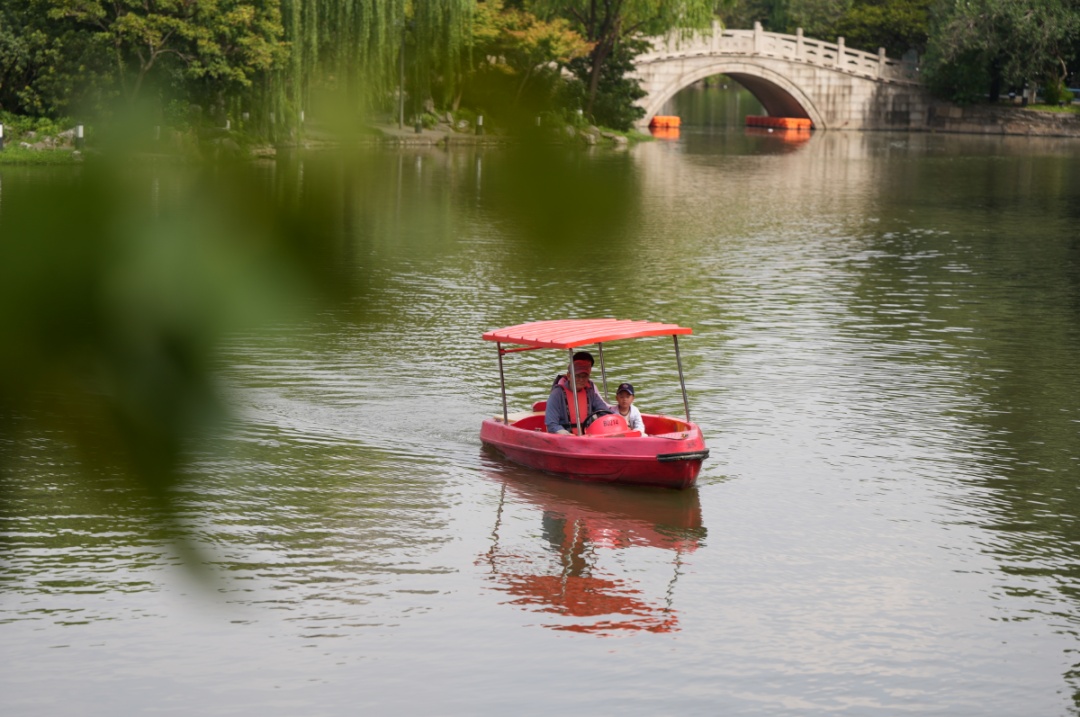 长风公园明起"半封闭"施工,你想知道的都在这里