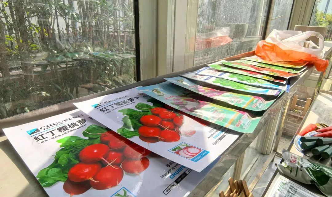 跟着劳模学种地！松江这里的学子有了“一亩三分地” 图4