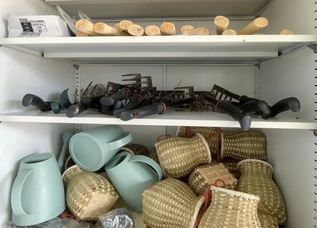 跟着劳模学种地！松江这里的学子有了“一亩三分地” 图3