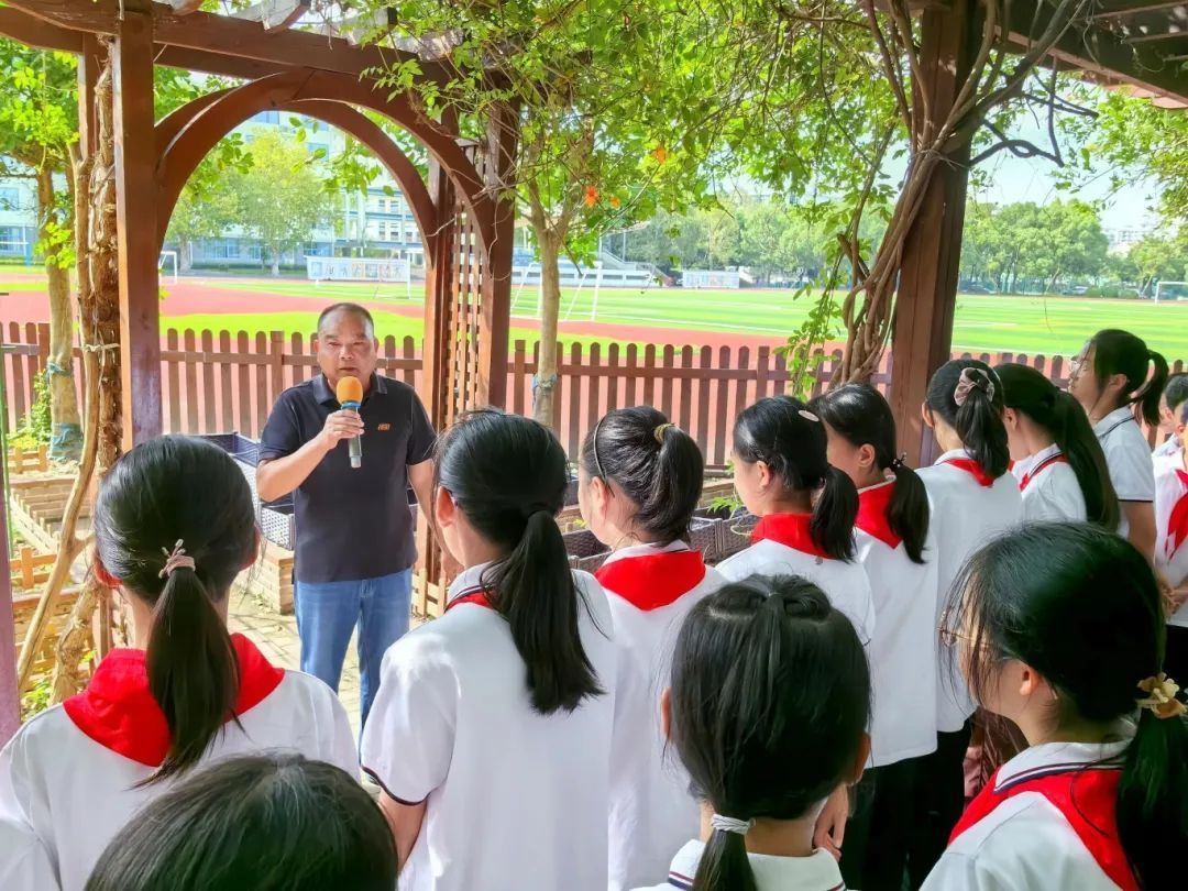 跟着劳模学种地！松江这里的学子有了“一亩三分地” 图1