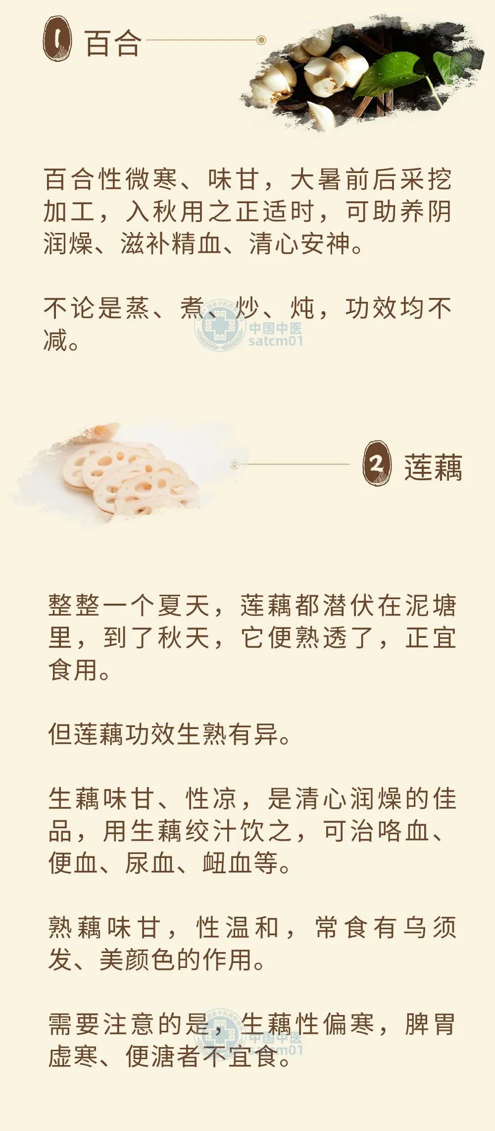 深秋养生素食大盘点，十种食材值得一试