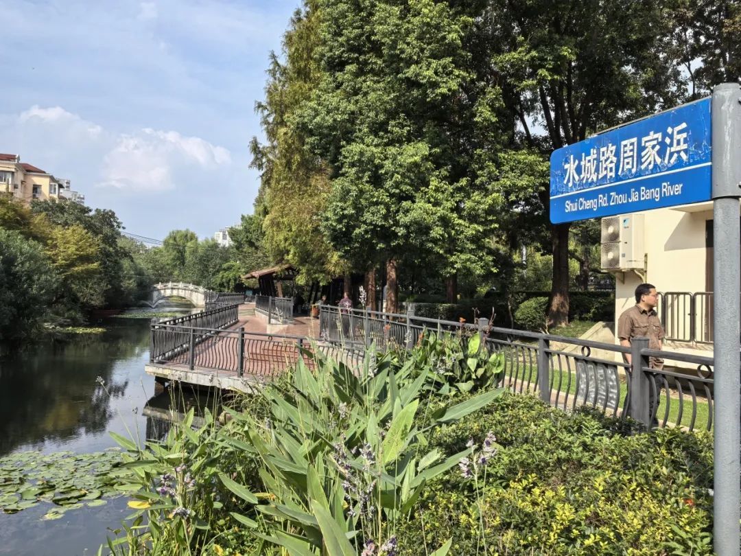 生态水城”怎么建？他们提出了“金点子”_上观新闻