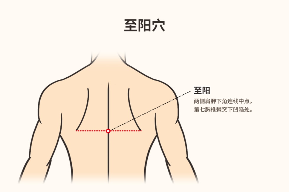 立冬到！养生要点看过来(图3)