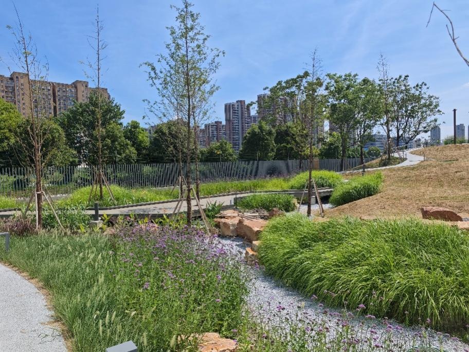 贯彻"景观 海绵"理念!