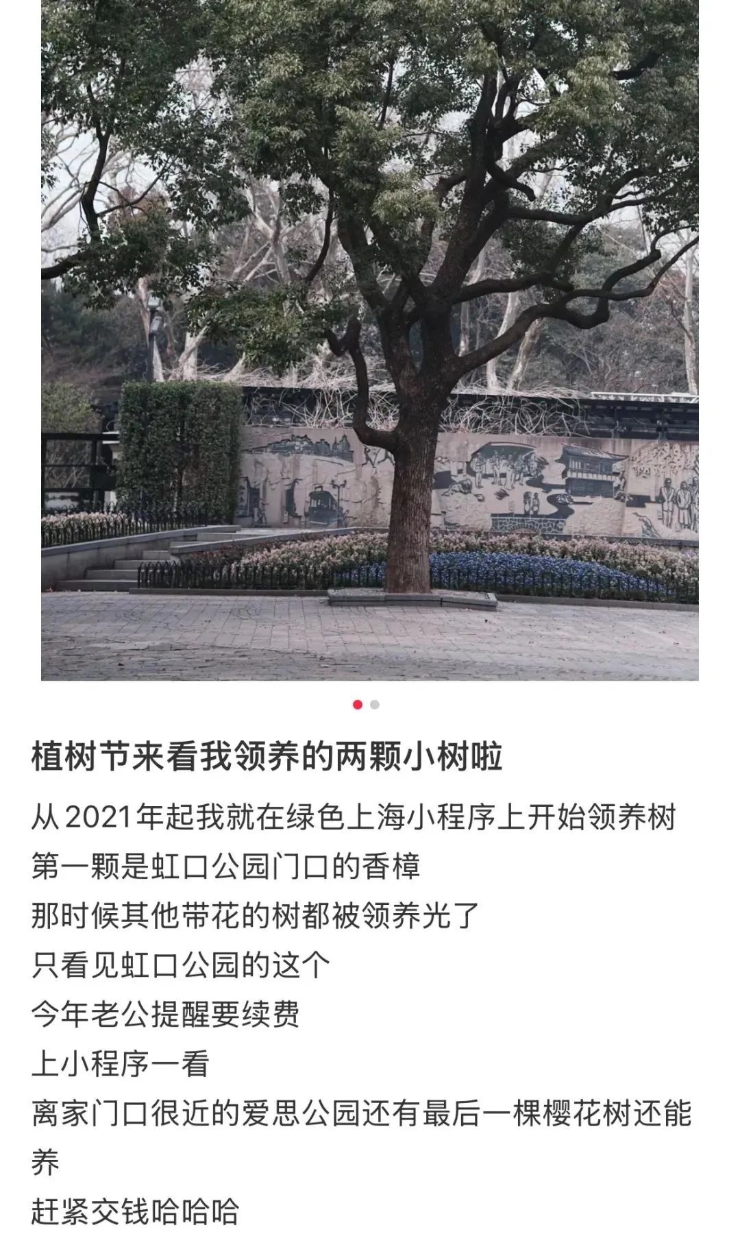 突然爆火!上海多个公园名额开放,瞬间被秒杀……