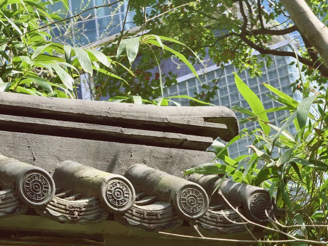 运用了参差自然,曲径通幽,藏漏互补,遮隔景深的中国传统造园艺术手法