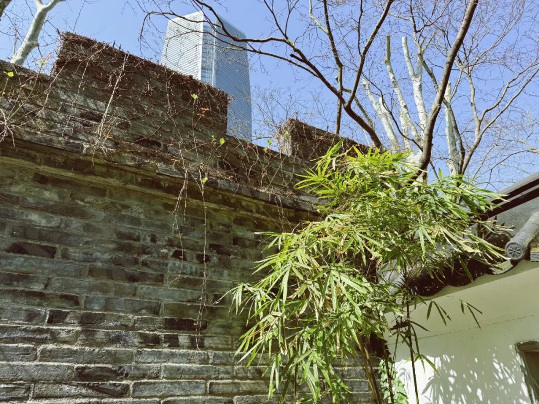 运用了参差自然,曲径通幽,藏漏互补,遮隔景深的中国传统造园艺术手法