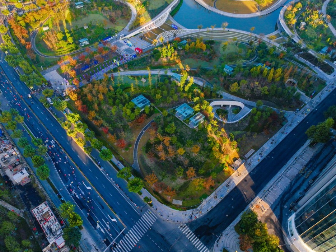 2025新金环上海top run赛事亮点_普陀区top中央公园10公里精英赛_“2025toprun”10公里精英赛今日开跑 上海警方全力