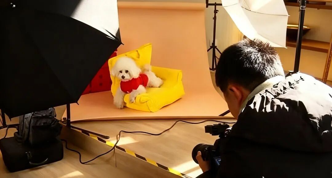 源飞宠物(001222)_最新价格_行情_开元棋牌- 开元棋牌官网 - 开元棋牌APP下载走势图—东方财富网